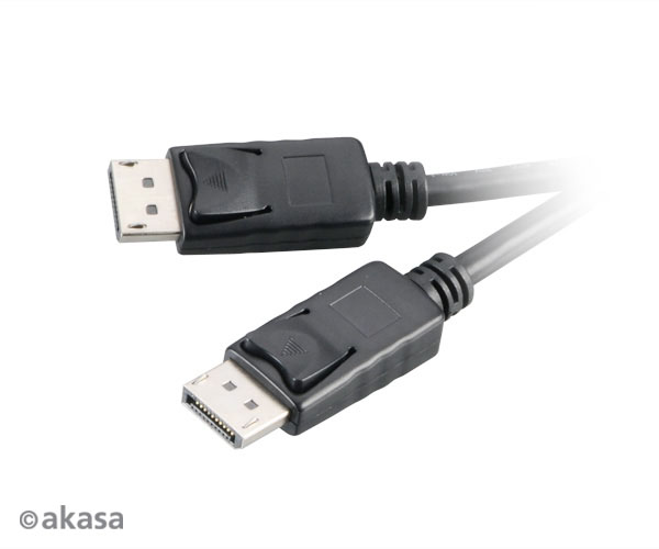 Obrázek AKASA - kabel DP na DP - 2 m