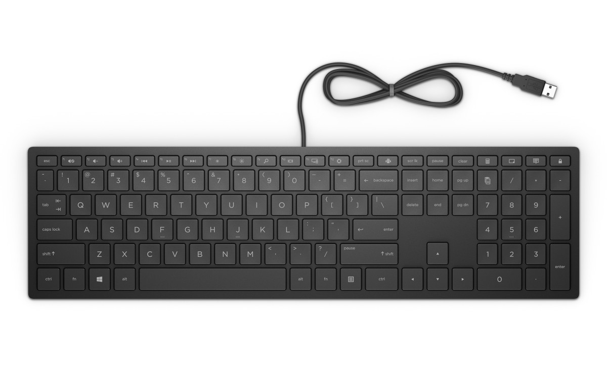 Obrázek HP Pavilion Keyboard 300/Drátová USB/CZ-Layout/Černá