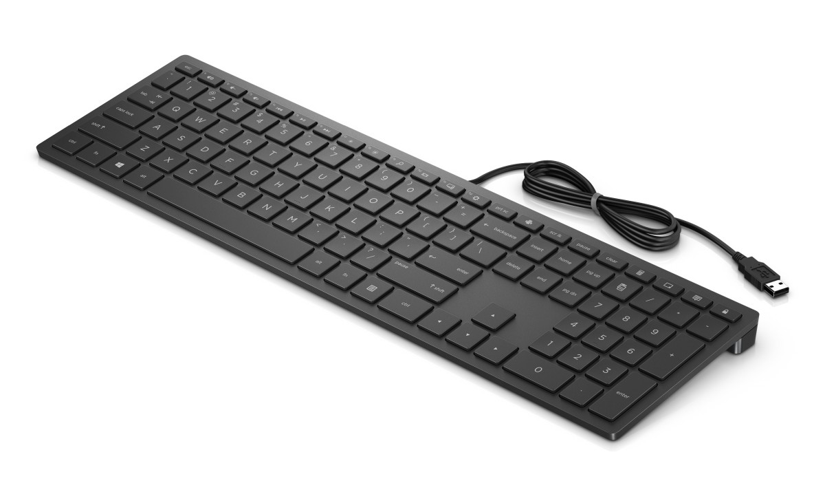 Obrázek HP Pavilion Keyboard 300/Drátová USB/CZ-Layout/Černá