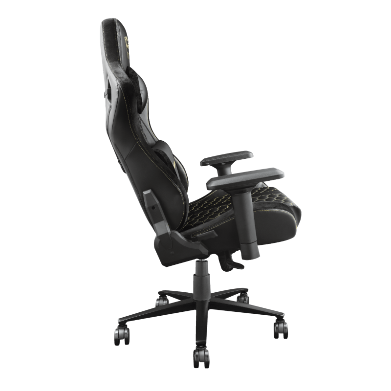 Obrázek TRUST GXT712 RESTO PRO CHAIR