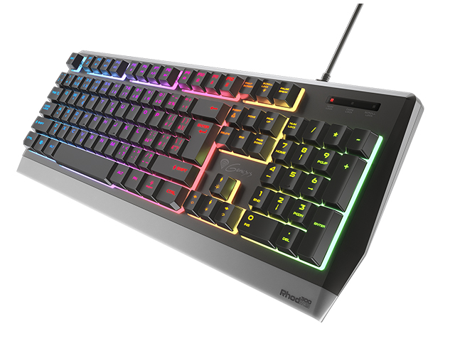 Obrázek Genesis herní klávesnice RHOD 300/RGB/Drátová USB/CZ/SK layout/Černá
