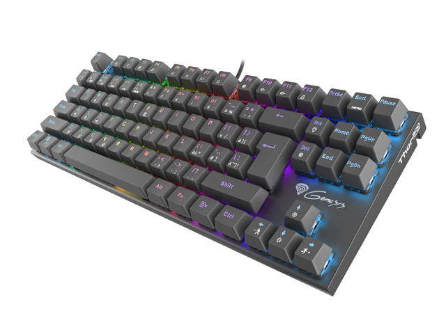 Obrázek Genesis herní mechanická klávesnice THOR 300/RGB/Outemu Red/Drátová USB/CZ-SK layout/Černá