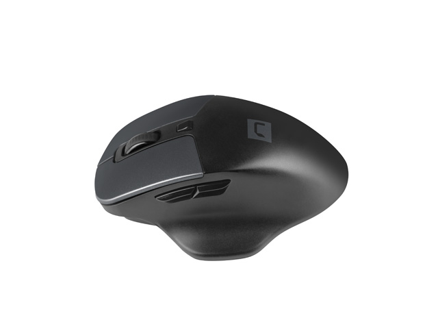 Obrázek Natec optická myš BLACKBIRD 2/1600 DPI/Kancelářská/Optická/Bezdrátová USB/Černá