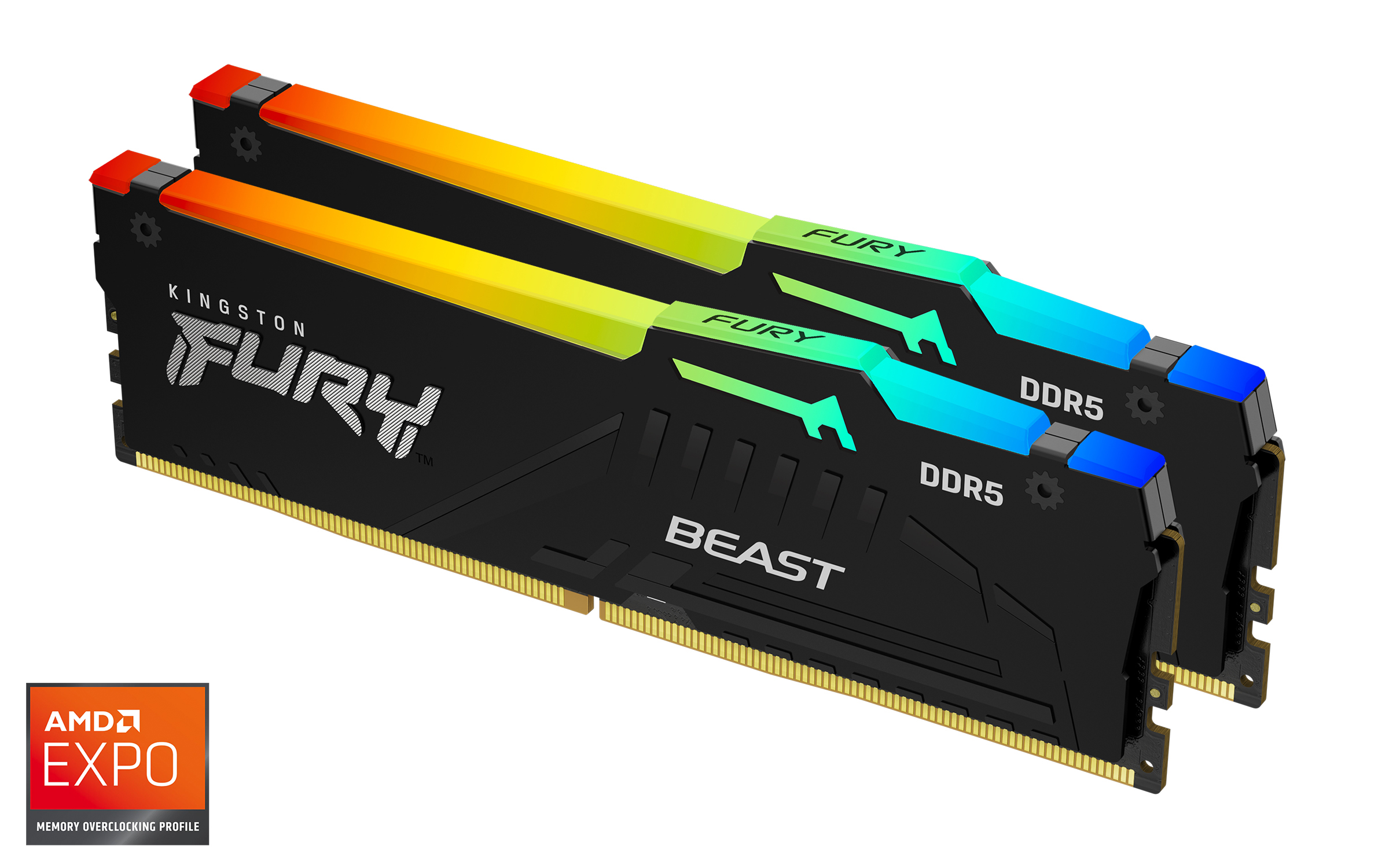 Obrázek Kingston FURY Beast EXPO/DDR5/32GB/5600MHz/CL36/2x16GB/RGB/Black