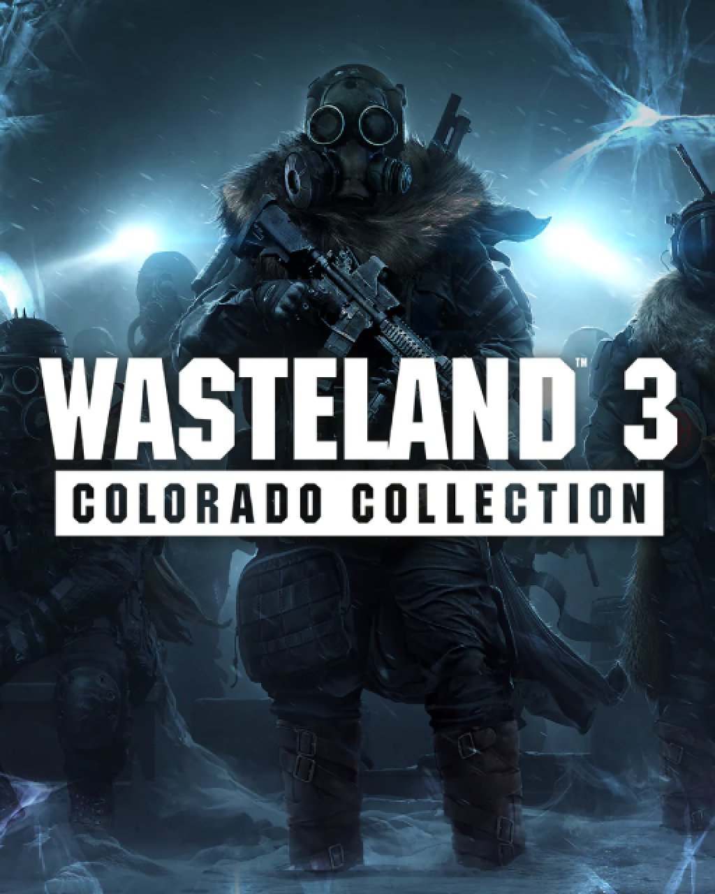 Obrázek ESD Wasteland 3 Colorado Collection