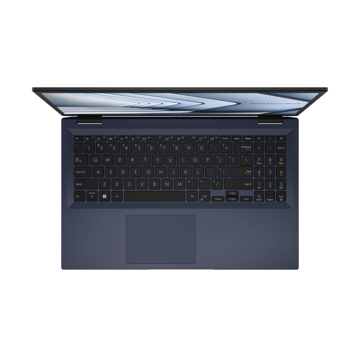 Obrázek ASUS ExpertBook B1/B1502CGA/N100/15,6"/FHD/8GB/256GB SSD/UHD/W11H/Black/2R