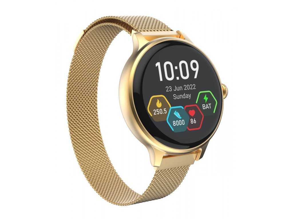 Obrázek CARNEO Hero mini HR+/Gold/Elegant Band/Gold