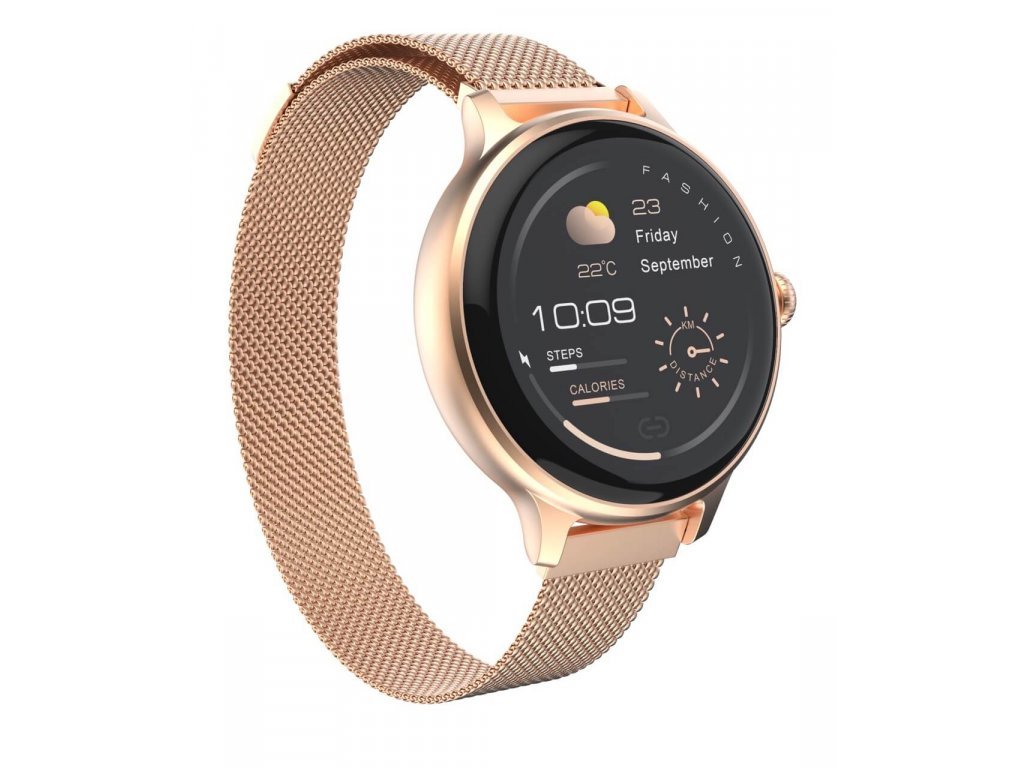 Obrázek CARNEO Hero mini HR+/Rose Gold/Elegant Band/Rose Gold