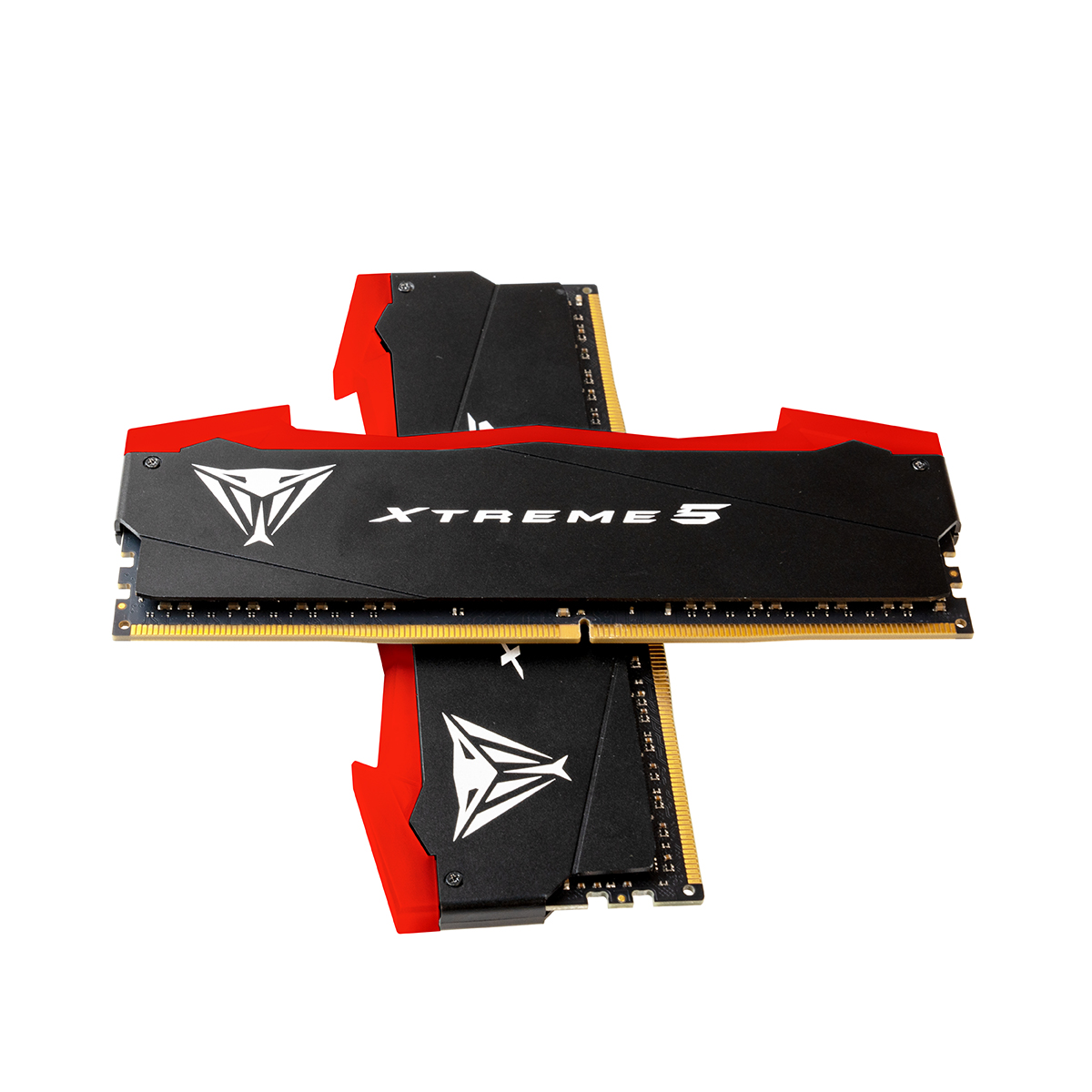 Obrázek Patriot Viper Xtreme 5/DDR5/32GB/8200MHz/CL38/2x16GB/Black