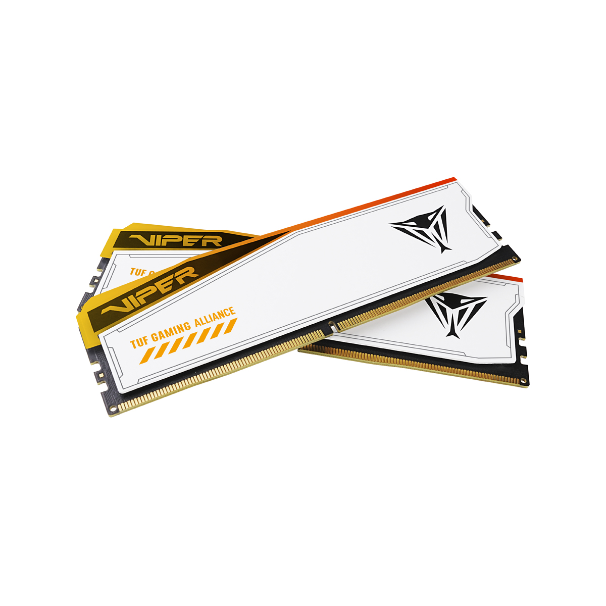 Obrázek Patriot Viper Elite 5 TUF/DDR5/48GB/6000MHz/CL36/2x24GB/RGB/White