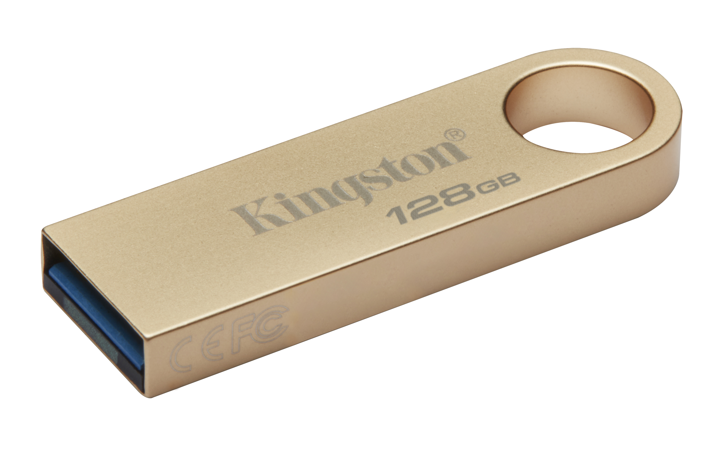 Obrázek 128GB Kingston USB 3.2 DTSE9 220/100MB/s