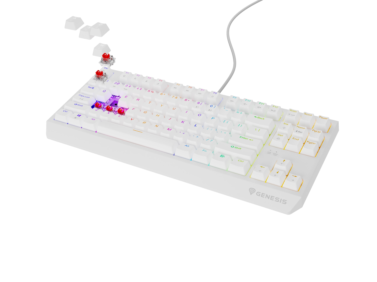 Obrázek Genesis herní klávesnice THOR 230/TKL/RGB/Outemu Red/Drátová USB/US layout/Bílá