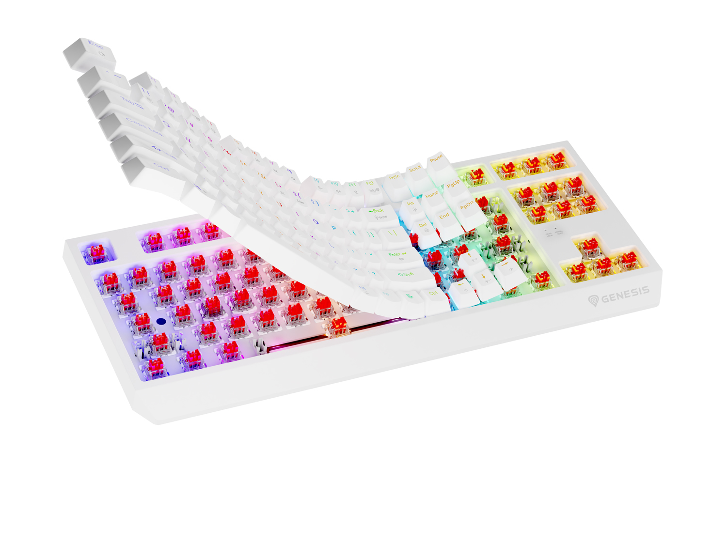 Obrázek Genesis herní klávesnice THOR 230/TKL/RGB/Outemu Red/Drátová USB/US layout/Bílá