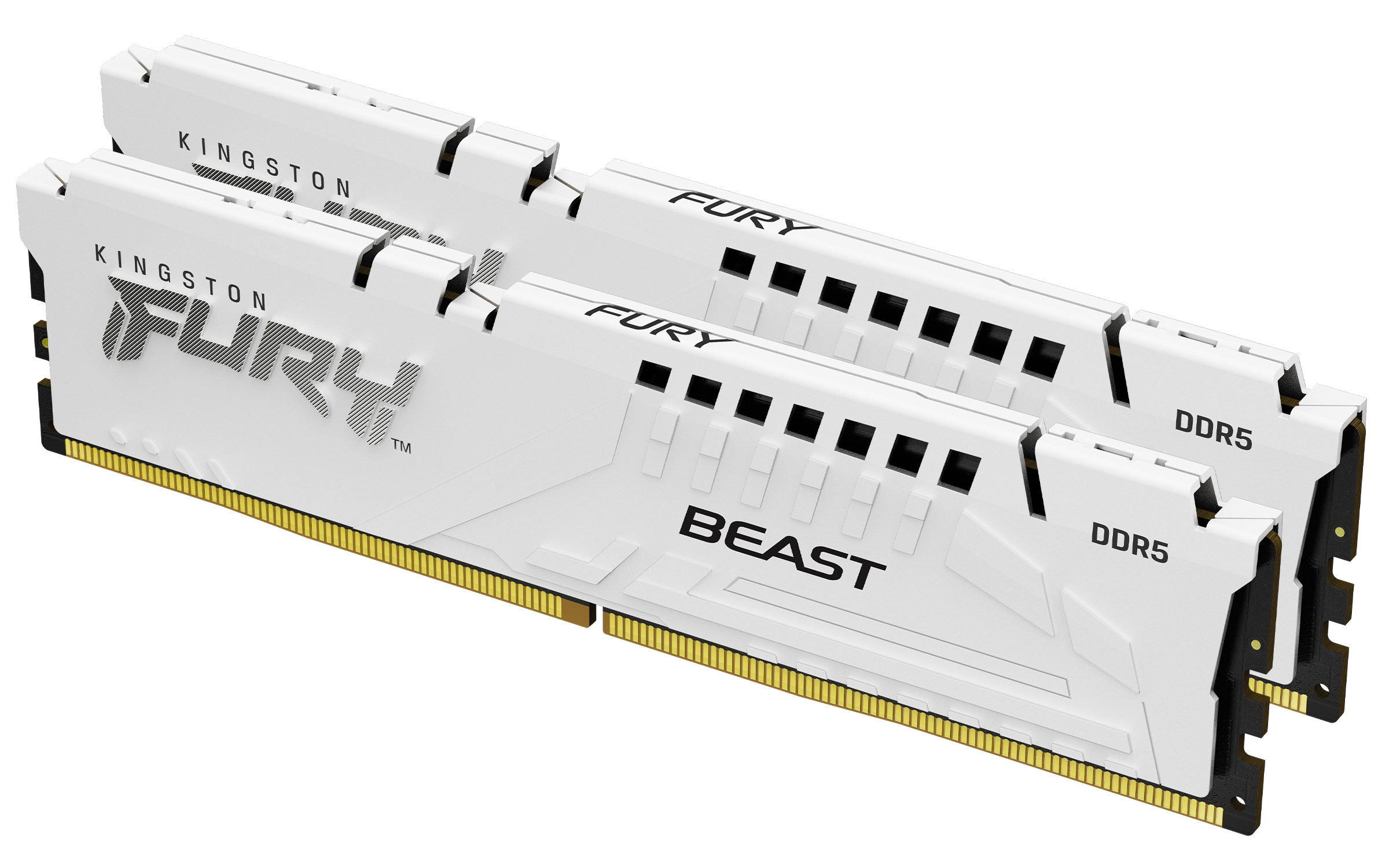 Kingston FURY Beast White/DDR5/32GB/6800MHz/CL34/2x16GB/White