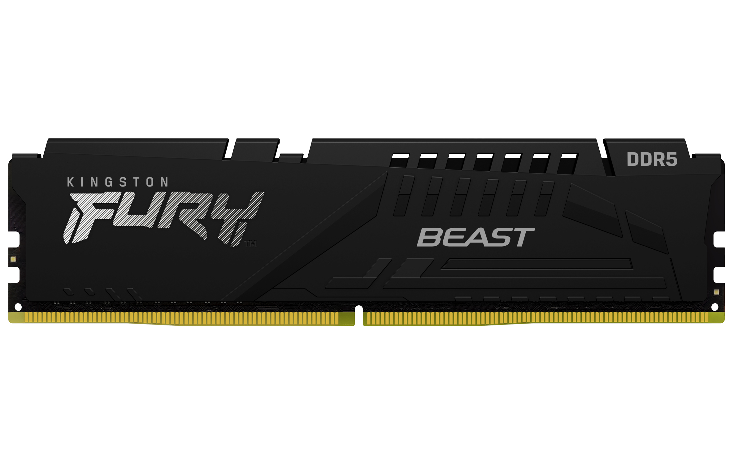 Kingston FURY Beast/DDR5/16GB/6800MHz/CL34/1x16GB/Black