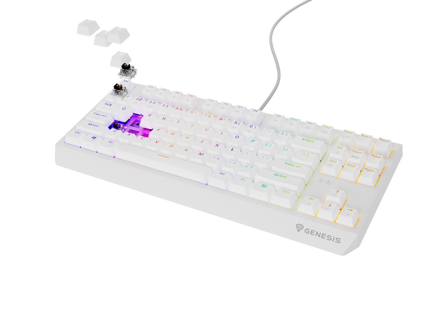 Obrázek Genesis herní klávesnice THOR 230/TKL/RGB/Outemu Brown/Drátová USB/US layout/Bílá