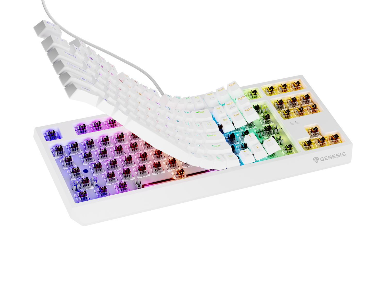 Obrázek Genesis herní klávesnice THOR 230/TKL/RGB/Outemu Brown/Drátová USB/US layout/Bílá