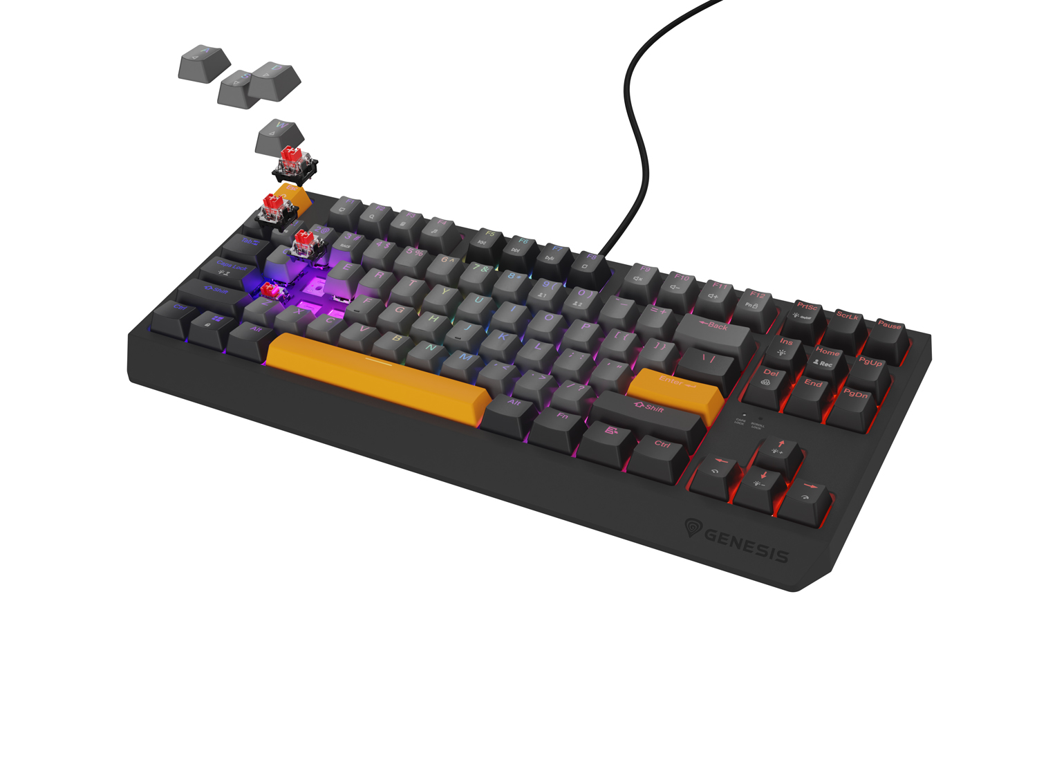 Obrázek Genesis herní klávesnice THOR 230/TKL/RGB/Outemu Red/Drátová USB/US layout/Anchor Negative Šedá