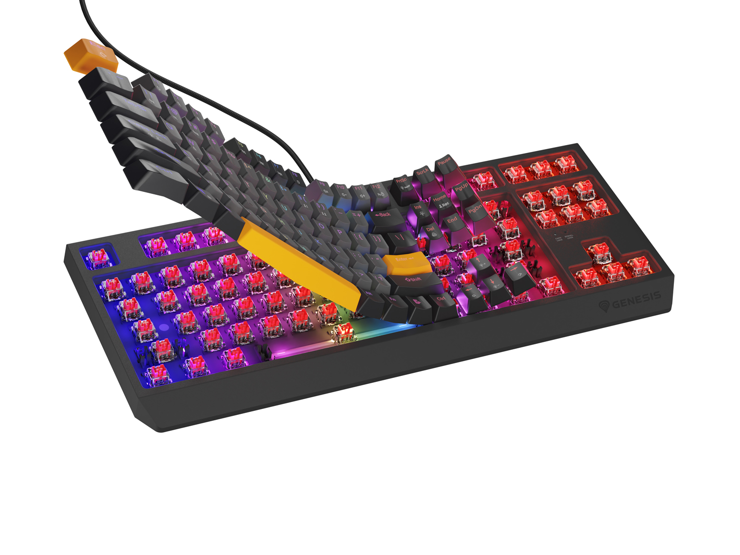 Obrázek Genesis herní klávesnice THOR 230/TKL/RGB/Outemu Red/Drátová USB/US layout/Anchor Negative Šedá