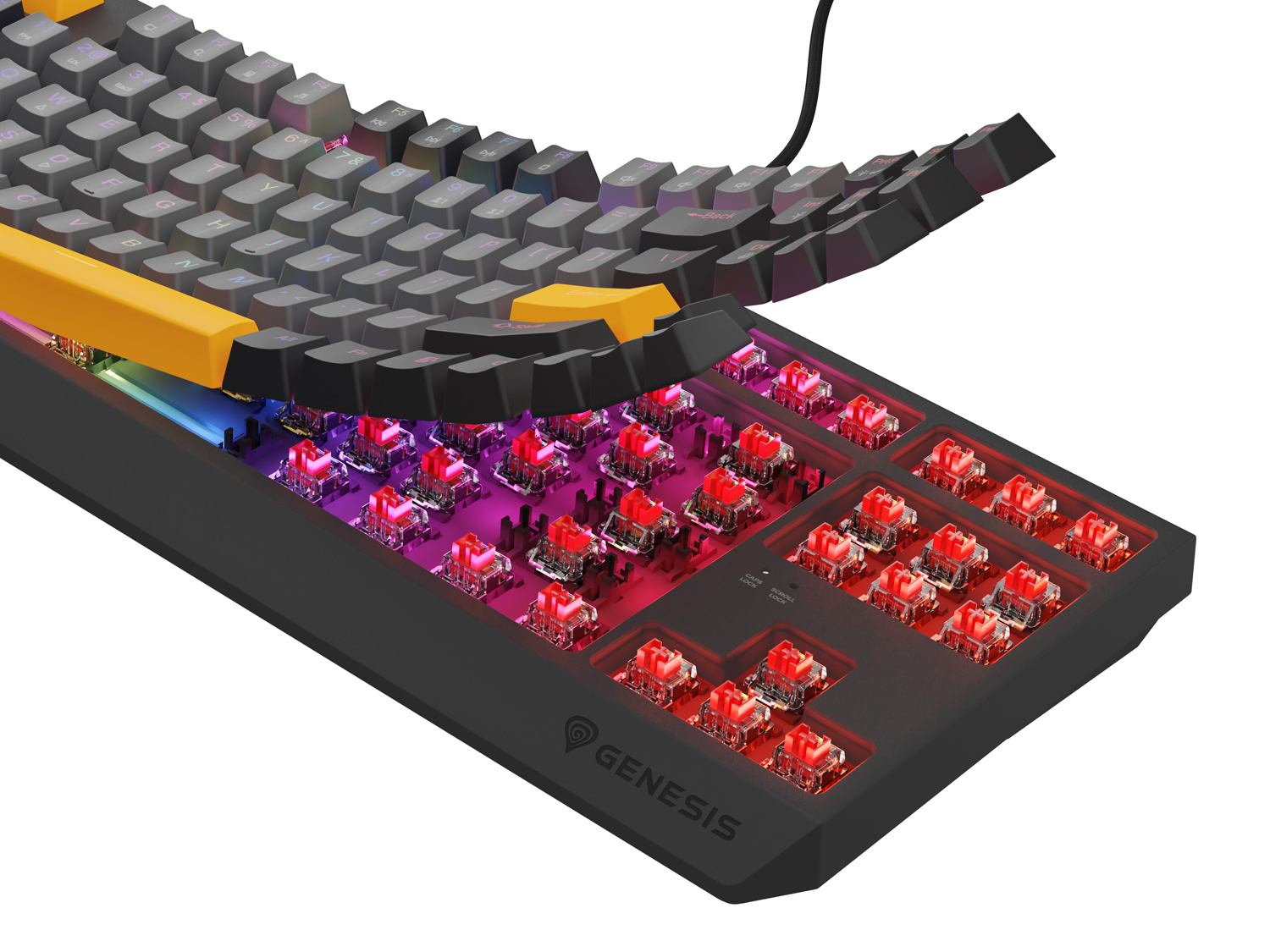 Obrázek Genesis herní klávesnice THOR 230/TKL/RGB/Outemu Red/Drátová USB/US layout/Anchor Negative Šedá