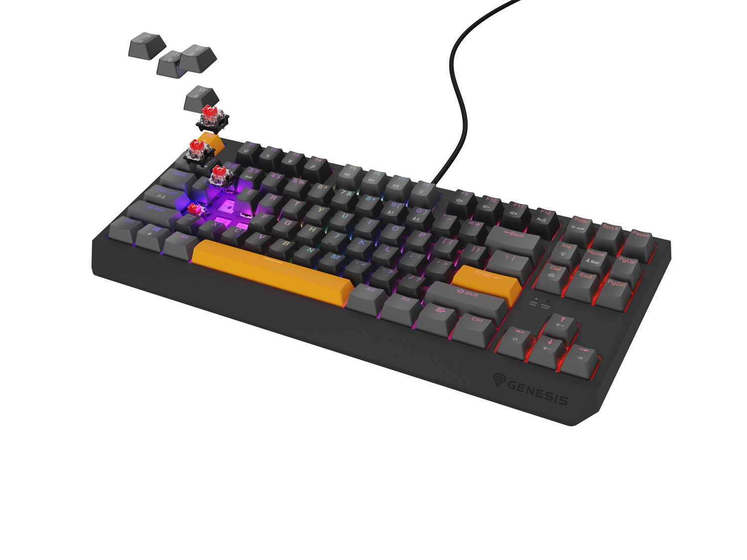 Obrázek Genesis herní klávesnice THOR 230/TKL/RGB/Outemu Red/Drátová USB/US layout/Anchor Positive Šedá