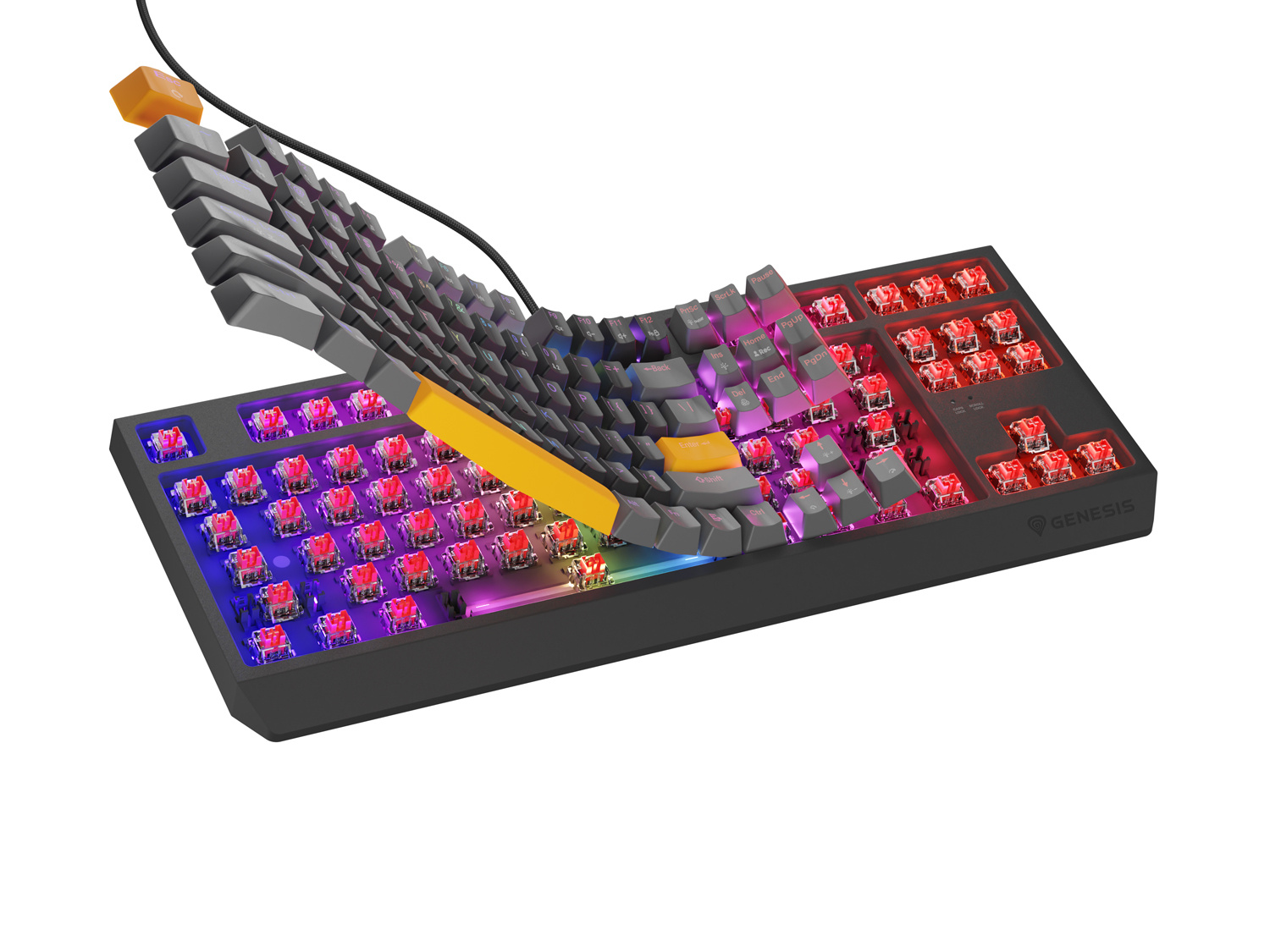 Obrázek Genesis herní klávesnice THOR 230/TKL/RGB/Outemu Red/Drátová USB/US layout/Anchor Positive Šedá