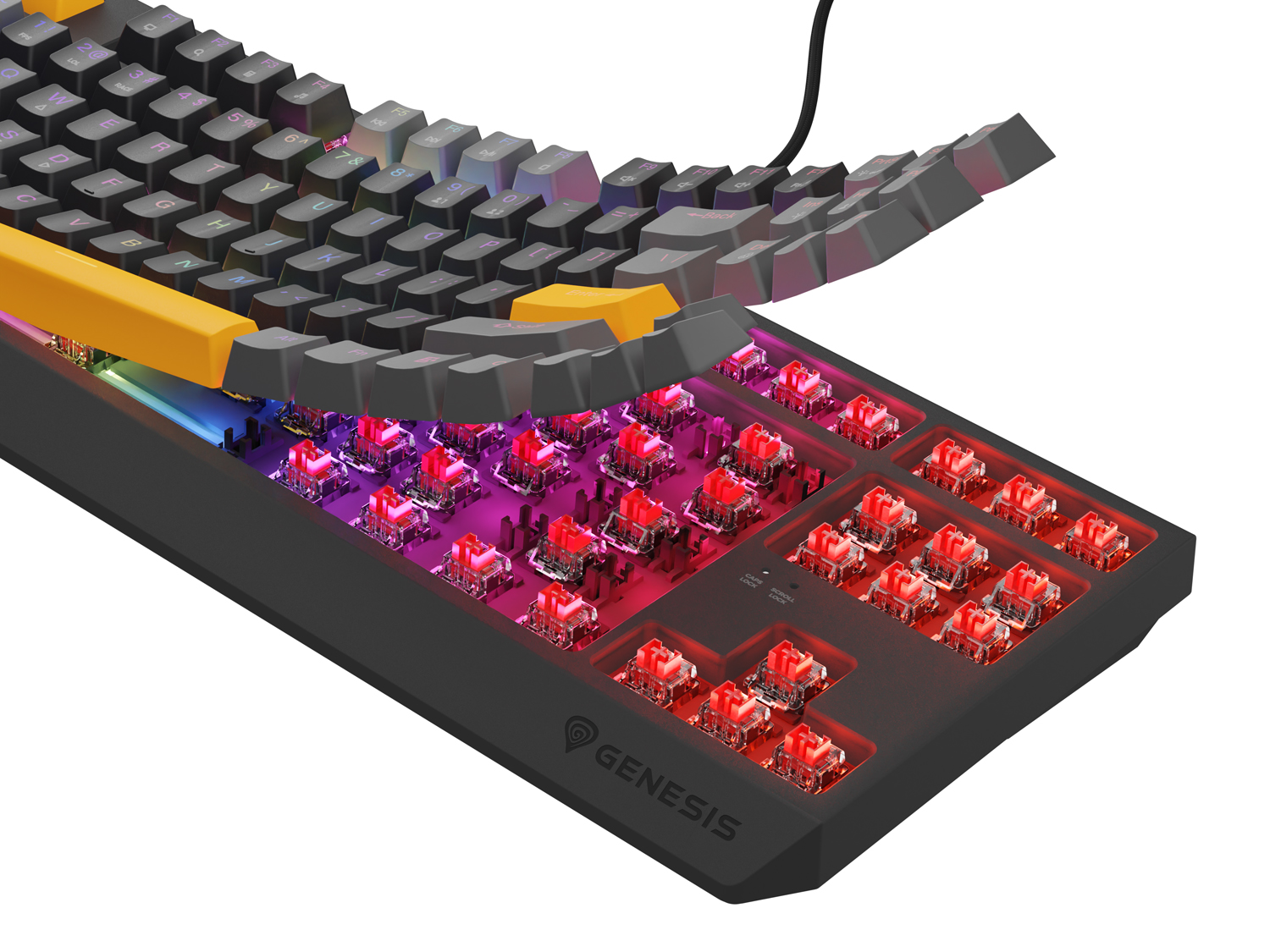 Obrázek Genesis herní klávesnice THOR 230/TKL/RGB/Outemu Red/Drátová USB/US layout/Anchor Positive Šedá