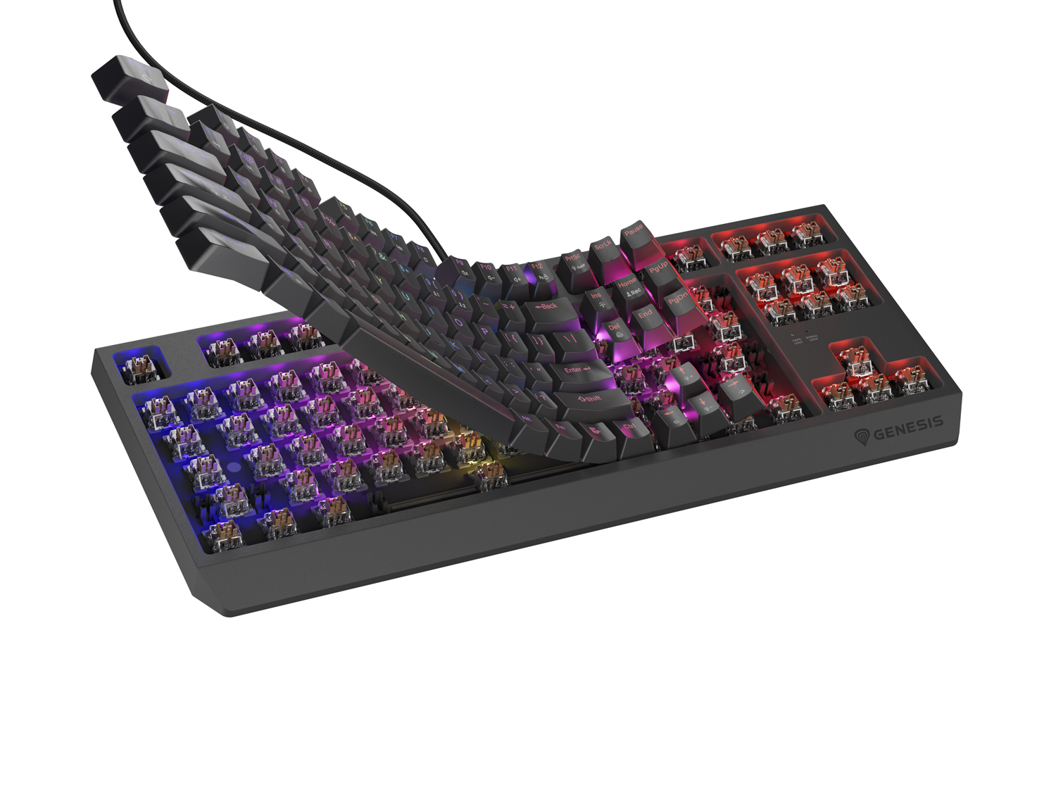 Obrázek Genesis herní klávesnice THOR 230/TKL/RGB/Outemu Brown/Drátová USB/US layout/Černá