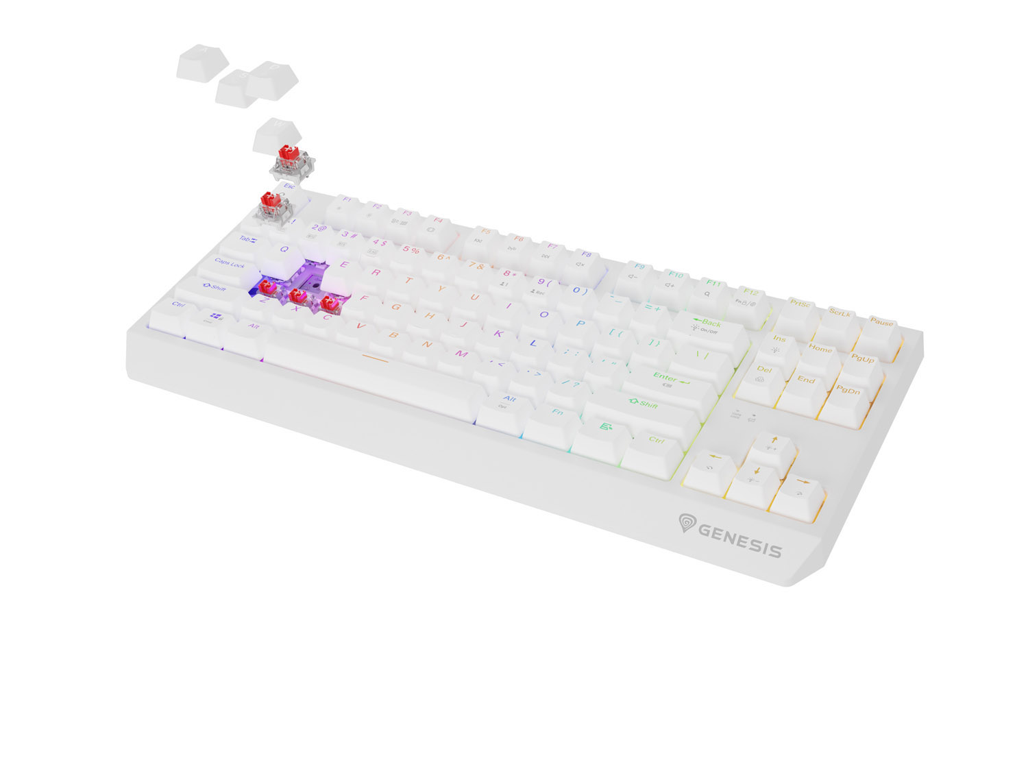 Obrázek GENESIS herní klávesnice THOR 230/TKL/RGB/Outemu Red/Bezdrátová USB + Bluetooth/US layout/Bílá