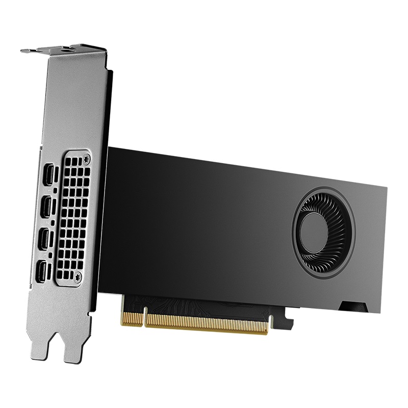 Obrázek NVIDIA RTX 2000 Ada Generation/16GB/GDDR6