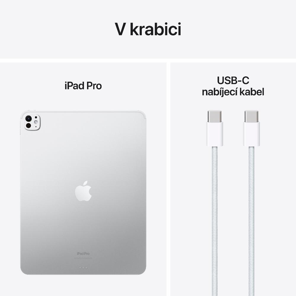 Obrázek iPad Pro 13" M4 Wi-Fi + Cellular 1TB stříbrný se sklem s nanotexturou