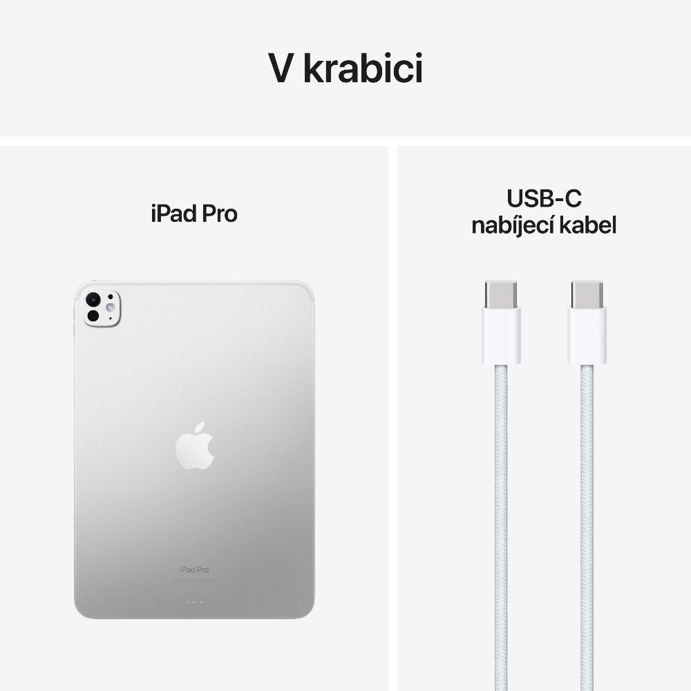 Obrázek iPad Pro 11" M4 Wi-Fi 2TB stříbrný se sklem s nanotexturou