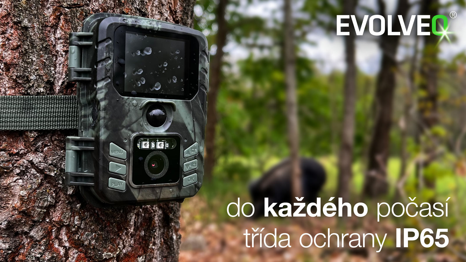 Obrázek EVOLVEO StrongVision MINI WiFi, fotopast/bezpečnostní kamera s aplikací