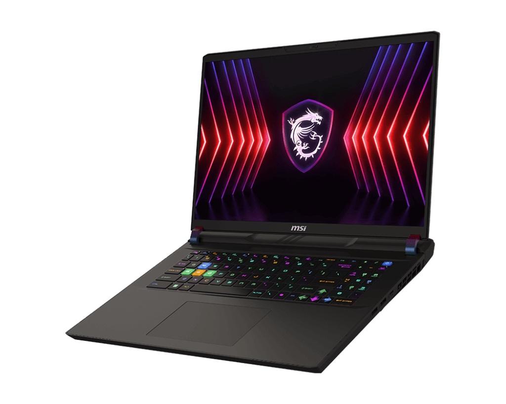 Obrázek MSI Vector/17 HX A14VIG-1015CZ/i9-14900HX/17"/2560x1600/32GB/2TB SSD/RTX 4090/W11H/Gray/2R