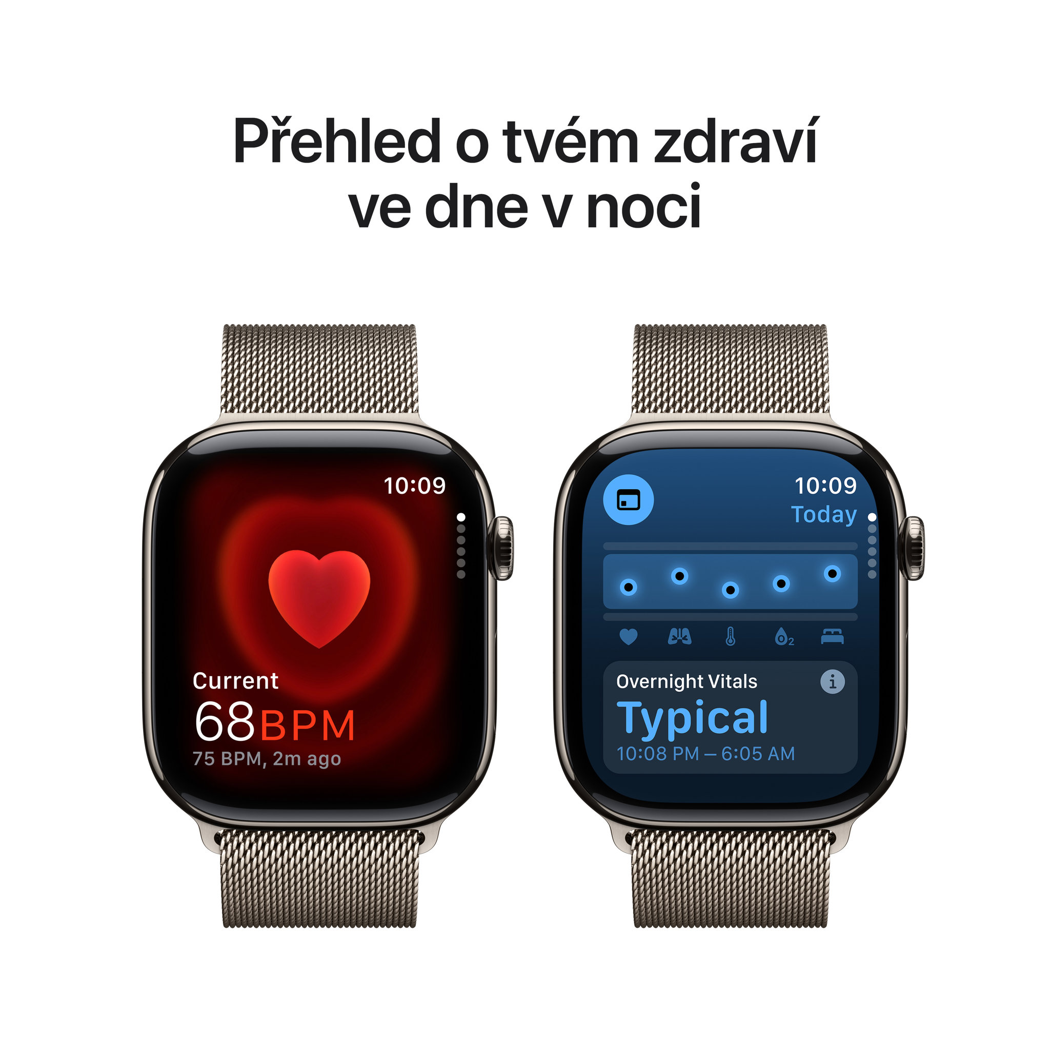 Obrázek Apple Watch Series 10 GPS + Cellular 46mm Přírodní titan s přírodním milánským tahem - M/L