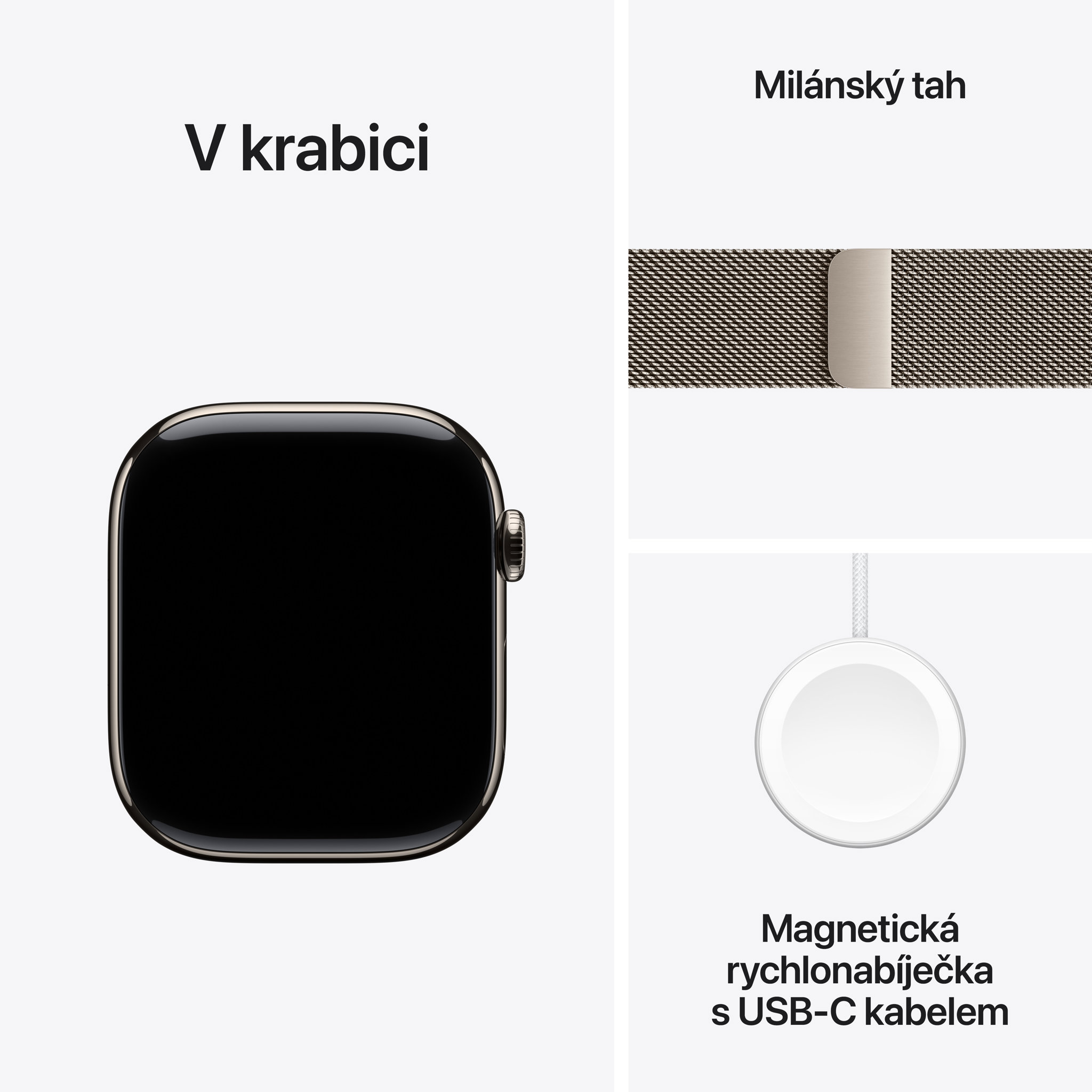 Obrázek Apple Watch Series 10 GPS + Cellular 46mm Přírodní titan s přírodním milánským tahem - M/L