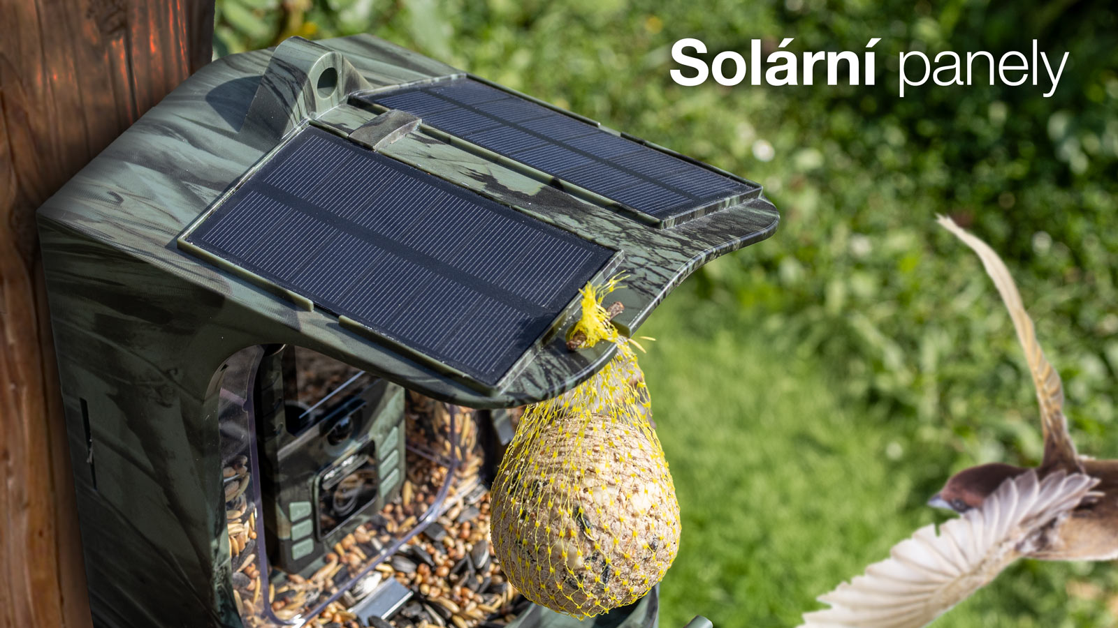 Obrázek EVOLVEO StrongVision BirdFeeder - Chytré krmítko pro ptáky s kamerou a solárním panelem