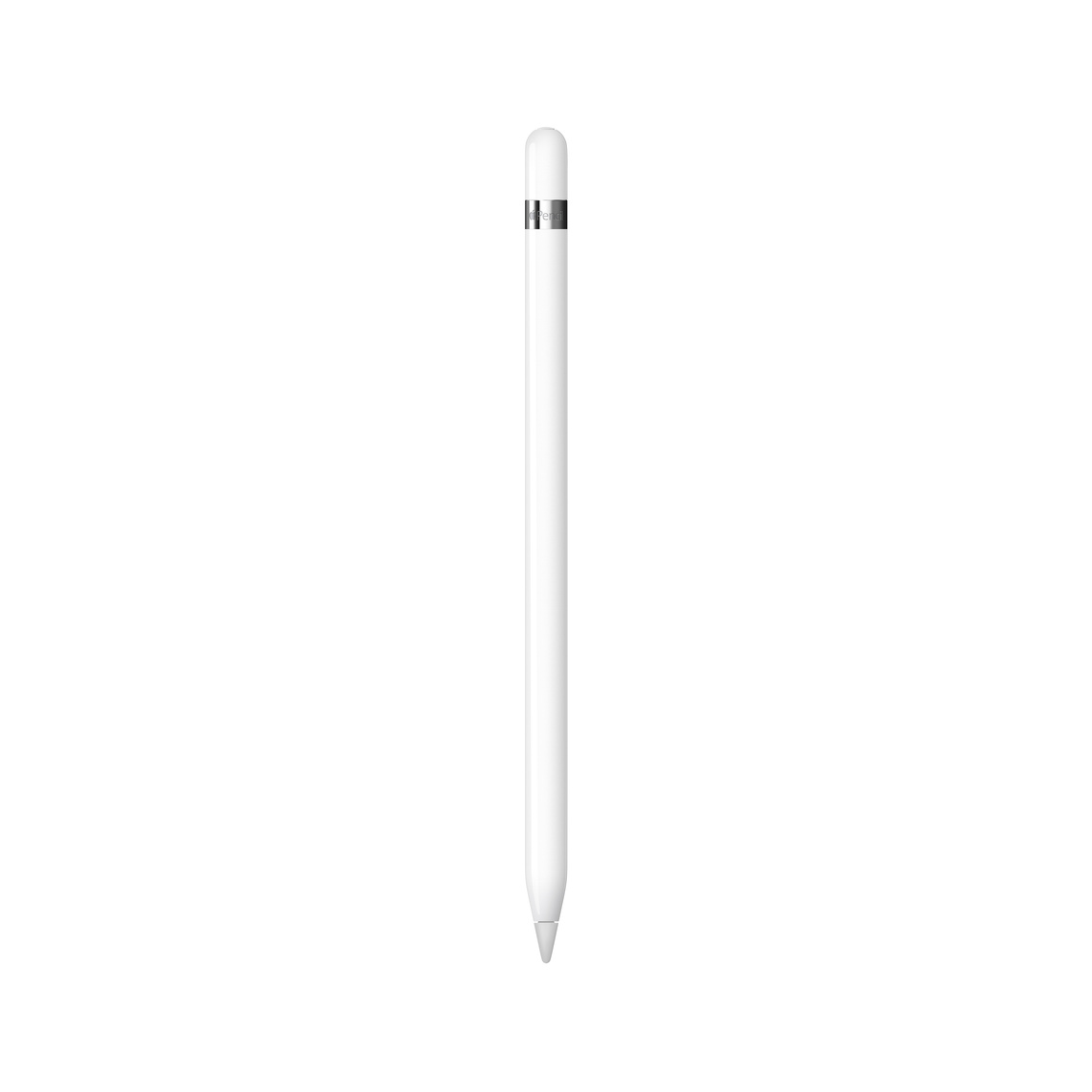 Apple Pencil (1. generace) + USB-C adapter