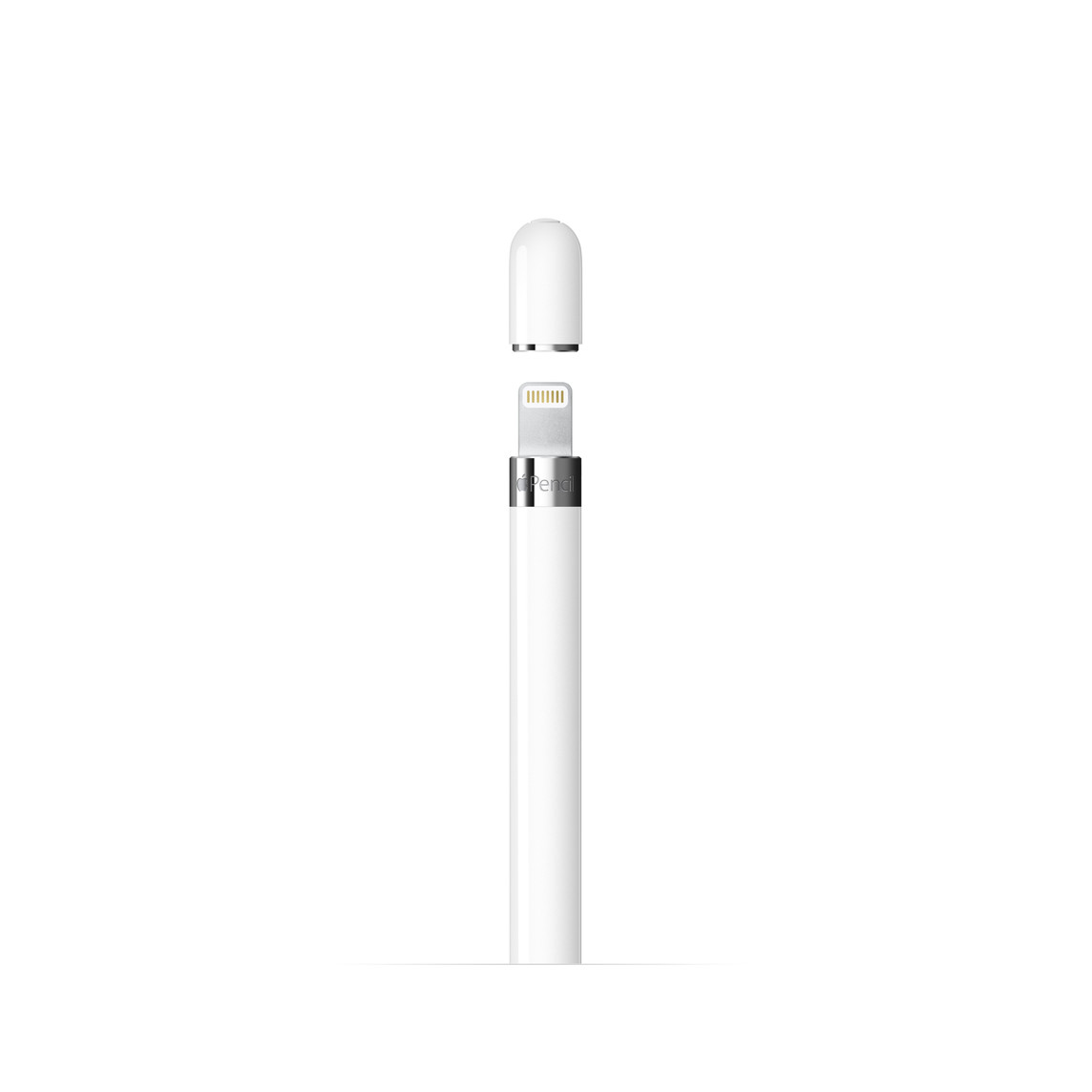 Obrázek Apple Pencil (1. generace) + USB-C adapter